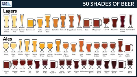 beer chart light to dark.